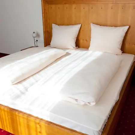 فندق لانغفيدر سي ميونيخ